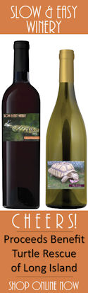 www.BenefitWines.com/turtle